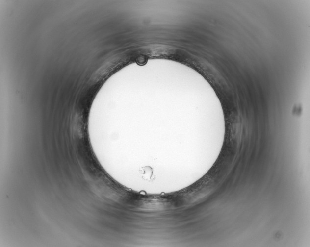 X0000093390316200711011316