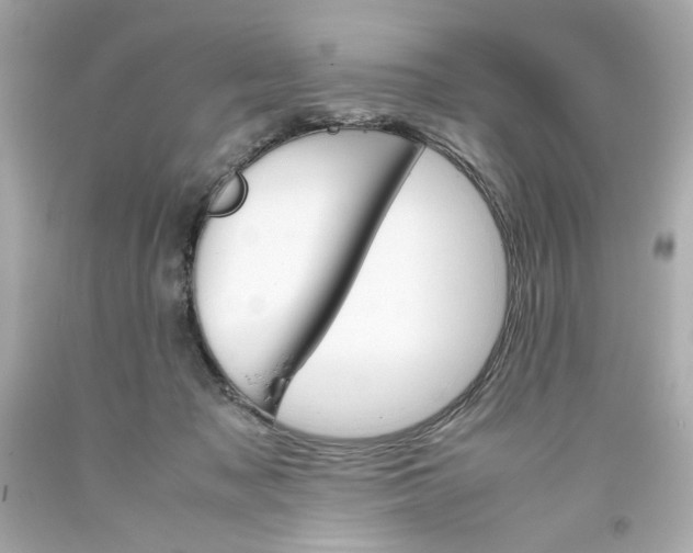 X0000093390317200711011316