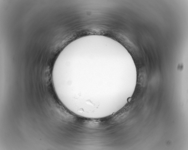 X0000093390318200711011316