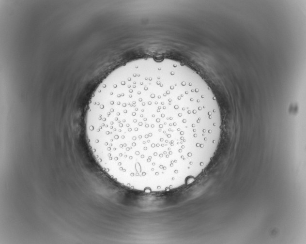 X0000093390319200711011316