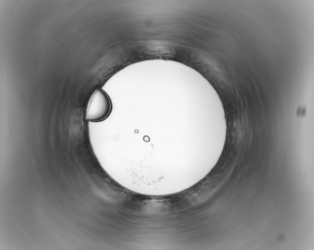 X0000093390320200711011316