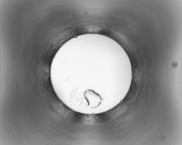 X0000093390321200711011316