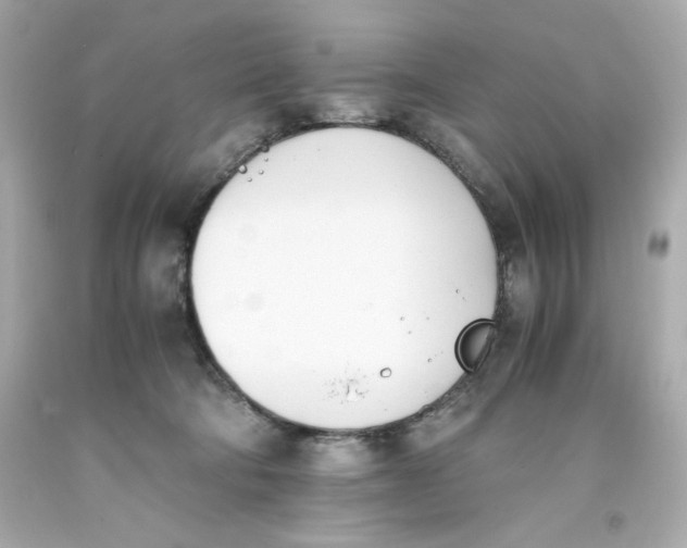 X0000093390322200711011316