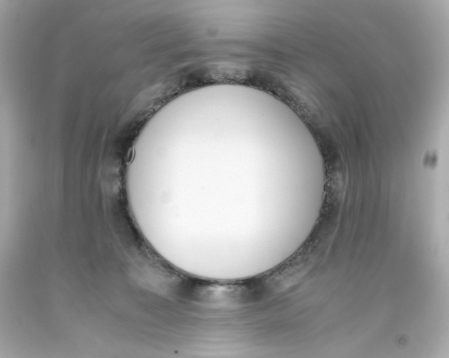 X0000093390323200711011316