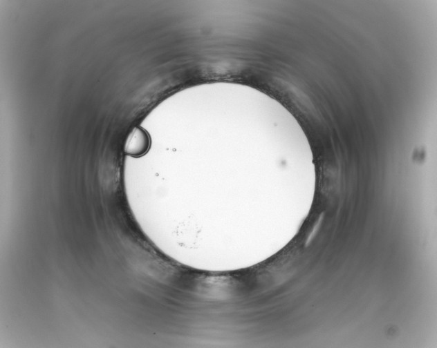 X0000093390324200711011316