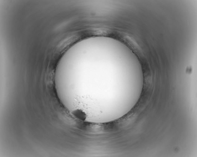 X0000093390325200711011316