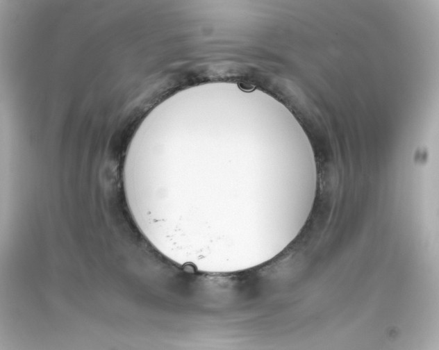 X0000093390327200711011316