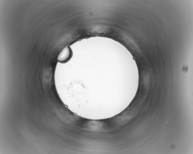 X0000093390328200711011316