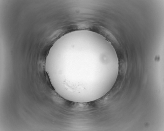 X0000093390329200711011316