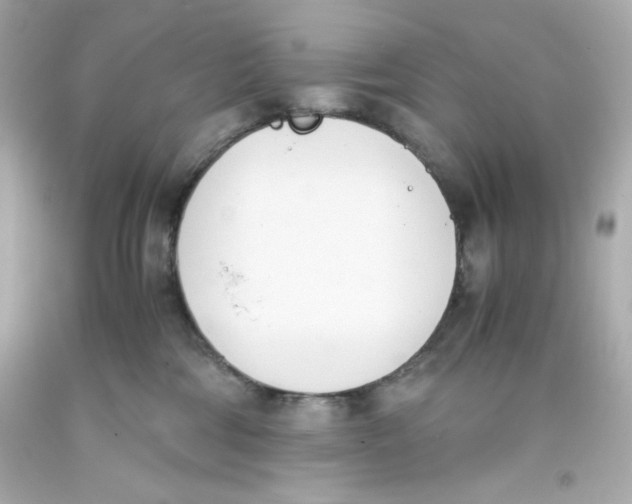 X0000093390330200711011316