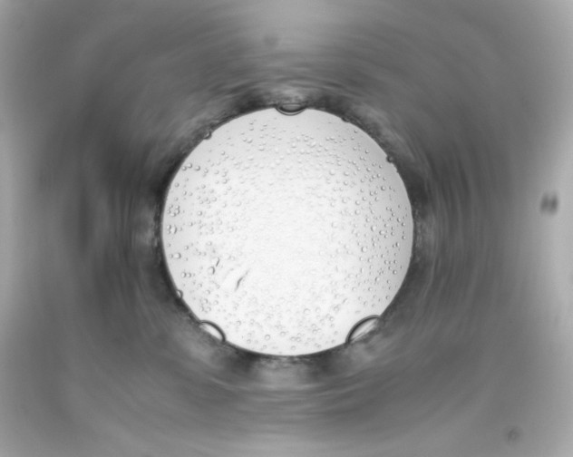 X0000093390331200711011316