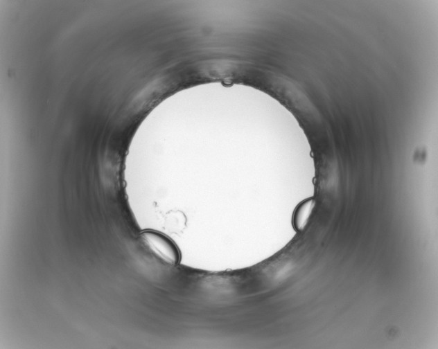 X0000093390332200711011316