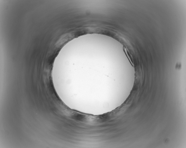 X0000093390333200711011316