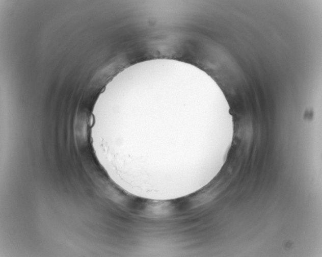 X0000093390334200711011316