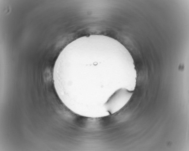 X0000093390335200711011316