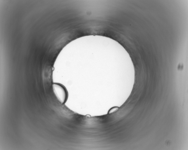 X0000093390336200711011316