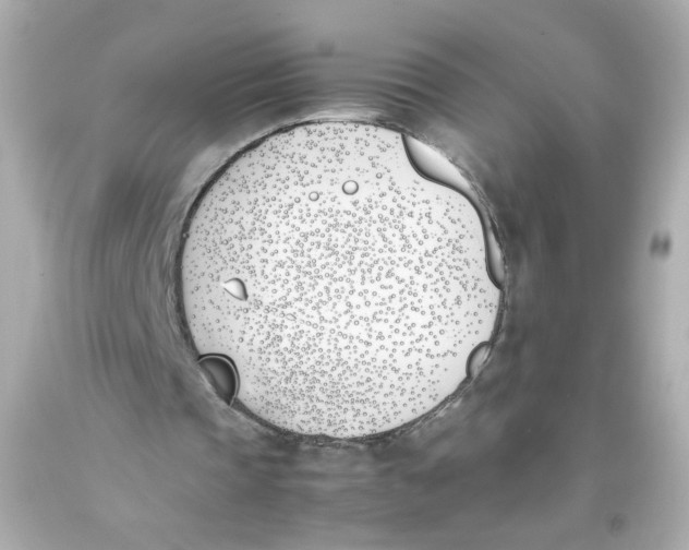 X0000093390337200711011315