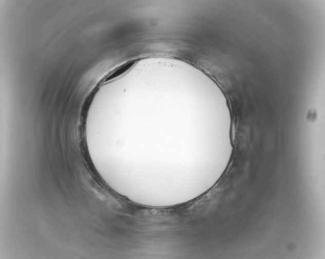 X0000093390338200711011315