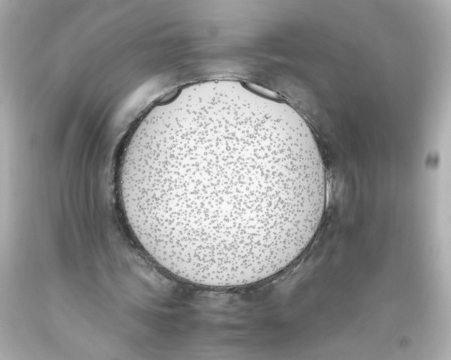 X0000093390339200711011315