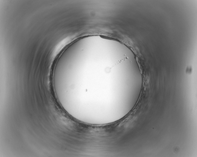 X0000093390340200711011315