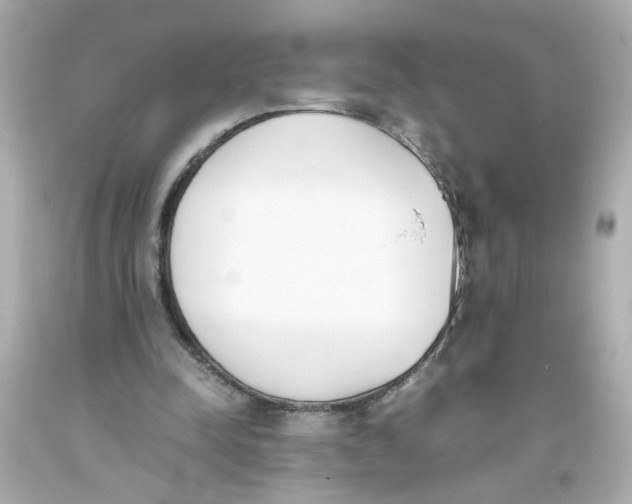 X0000093390342200711011315