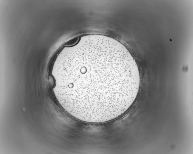 X0000093390343200711011315