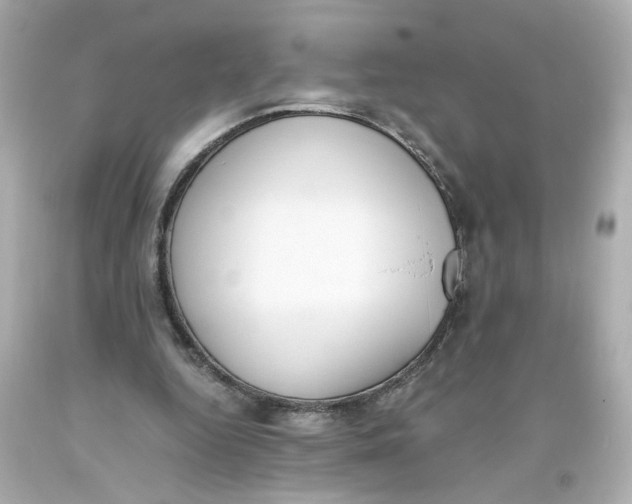 X0000093390344200711011315