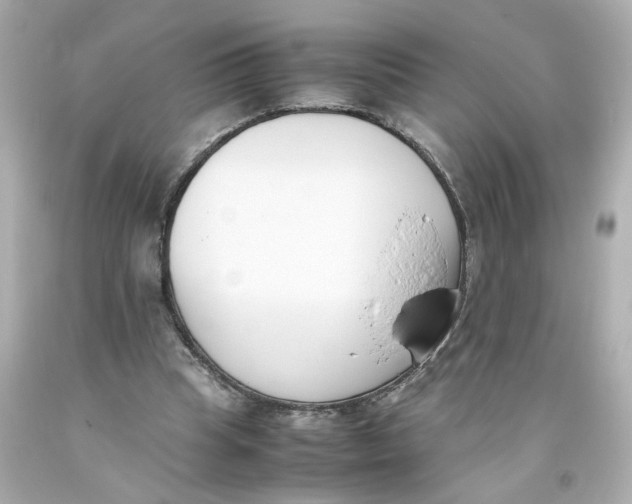 X0000093390345200711011316