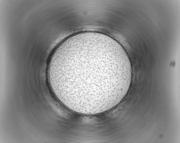 X0000093390346200711011316