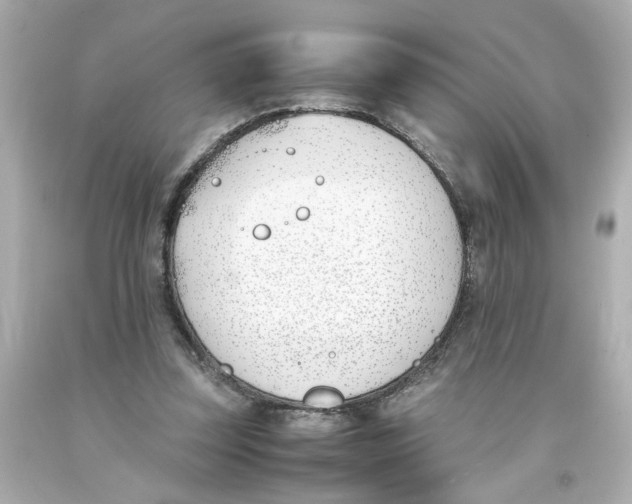 X0000093390347200711011316