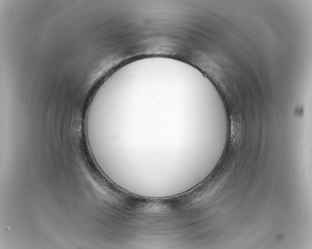 X0000093390348200711011316