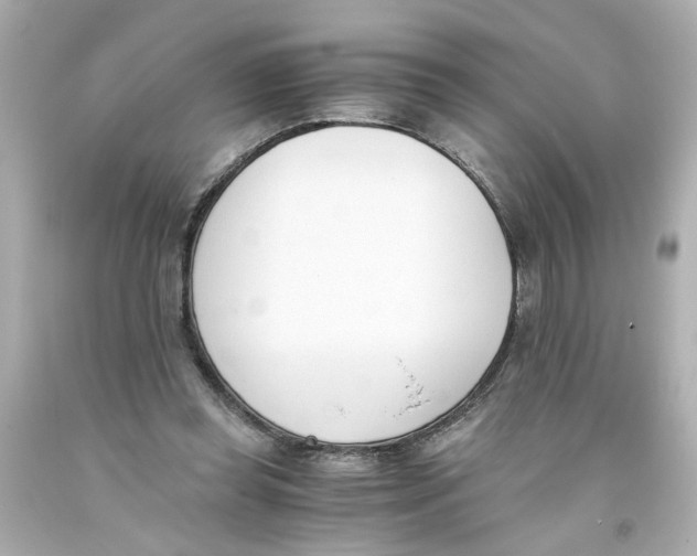 X0000093390349200711011316