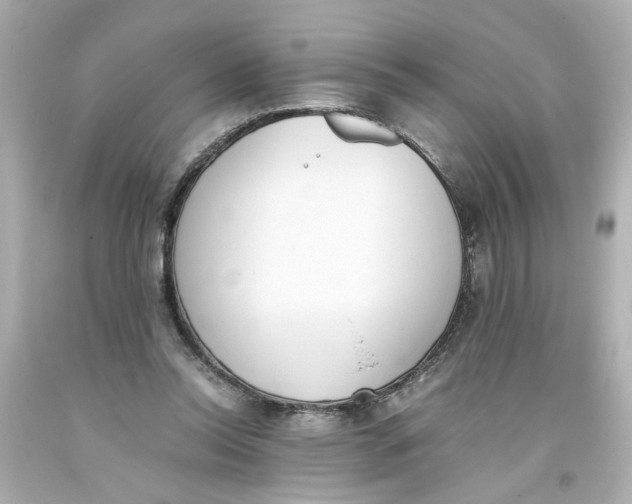 X0000093390350200711011316