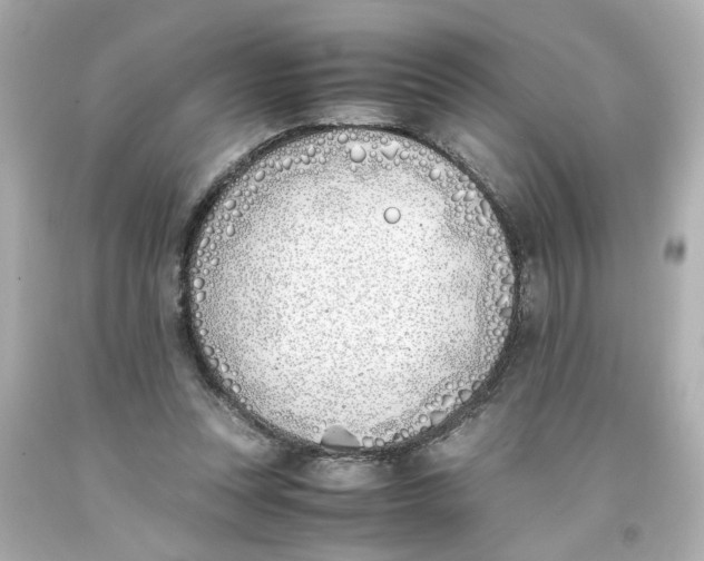 X0000093390351200711011316