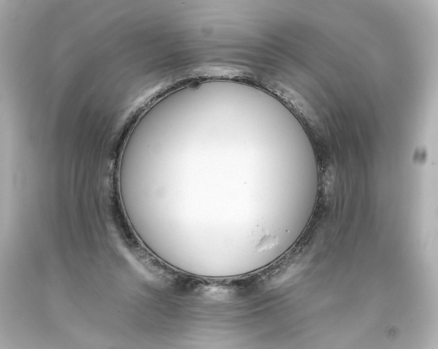 X0000093390352200711011316