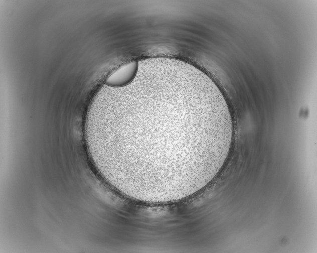 X0000093390353200711011316