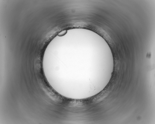 X0000093390354200711011316