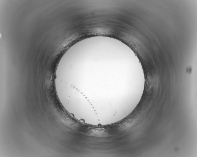 X0000093390355200711011316