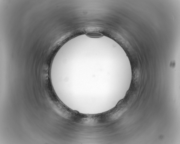 X0000093390356200711011316