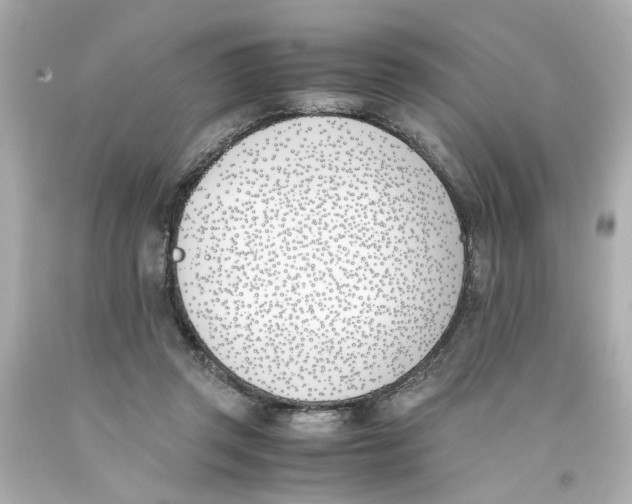 X0000093390357200711011316