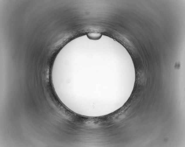 X0000093390358200711011316