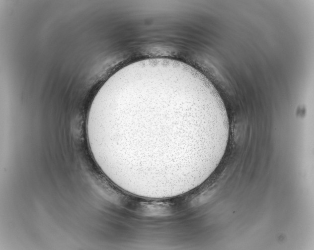 X0000093390359200711011316