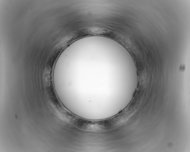 X0000093390360200711011316