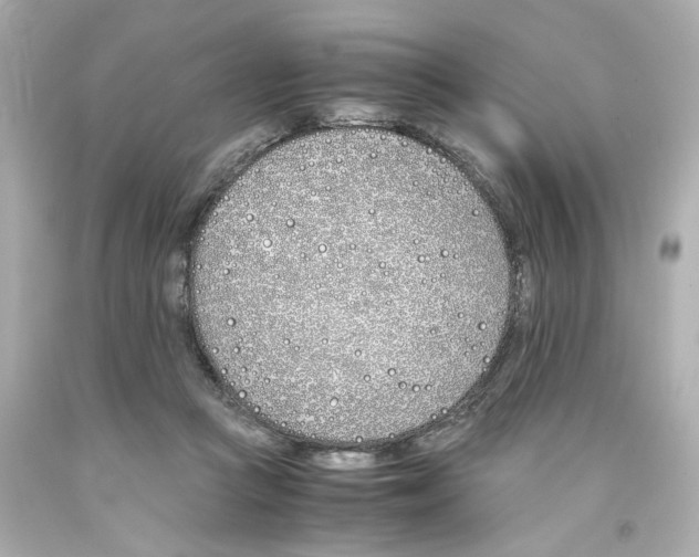 X0000093390361200711011316