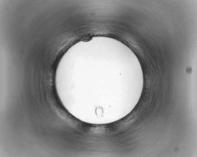 X0000093390362200711011316