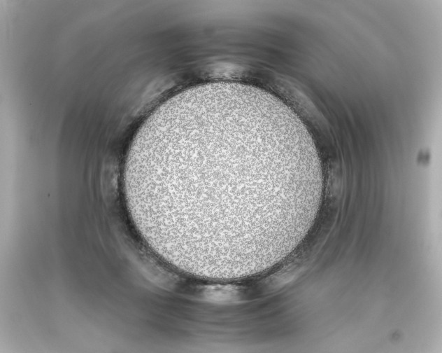 X0000093390363200711011316