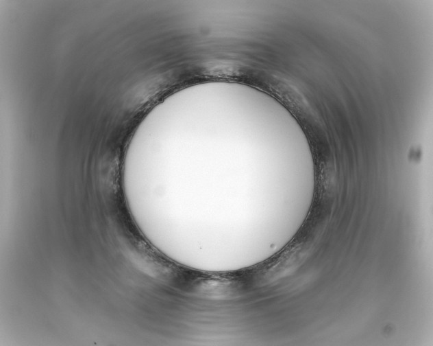 X0000093390364200711011316