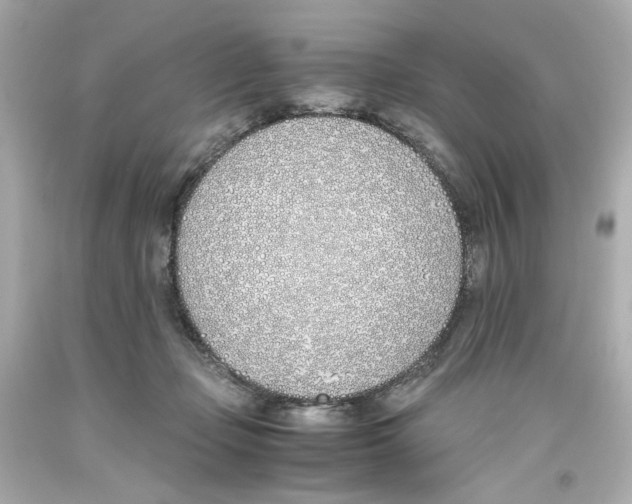 X0000093390365200711011316