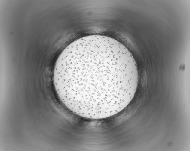 X0000093390366200711011316