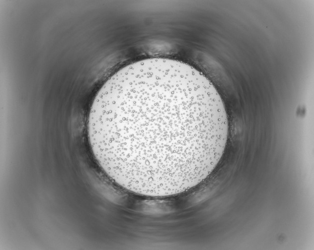 X0000093390367200711011316